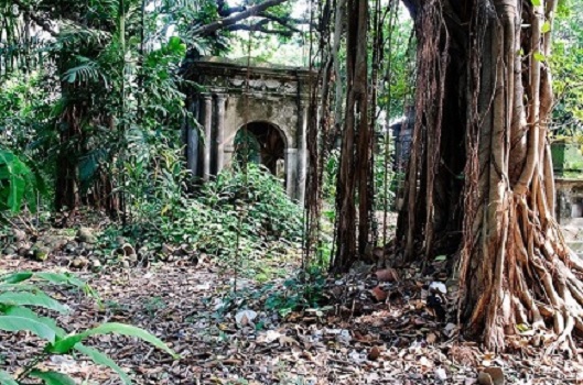 sanjay-van-haunted-forest-delhi